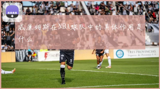 威廉姆斯在NBA球队中的具体作用是什么