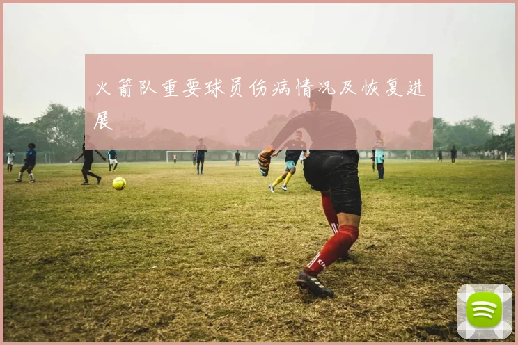 火箭队重要球员伤病情况及恢复进展
