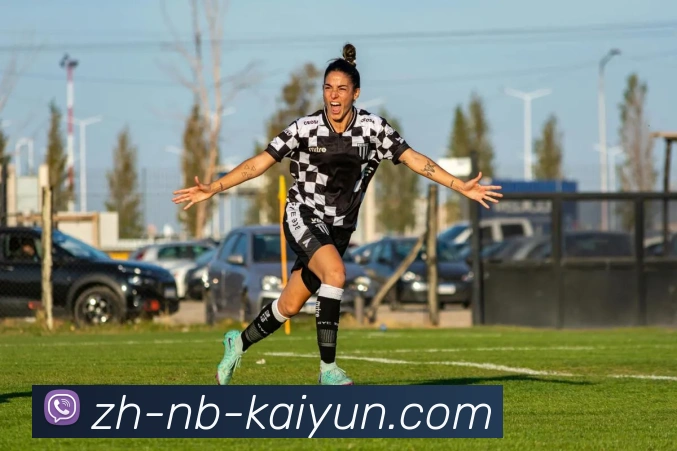 开云体育APP 体育赛事宣传图